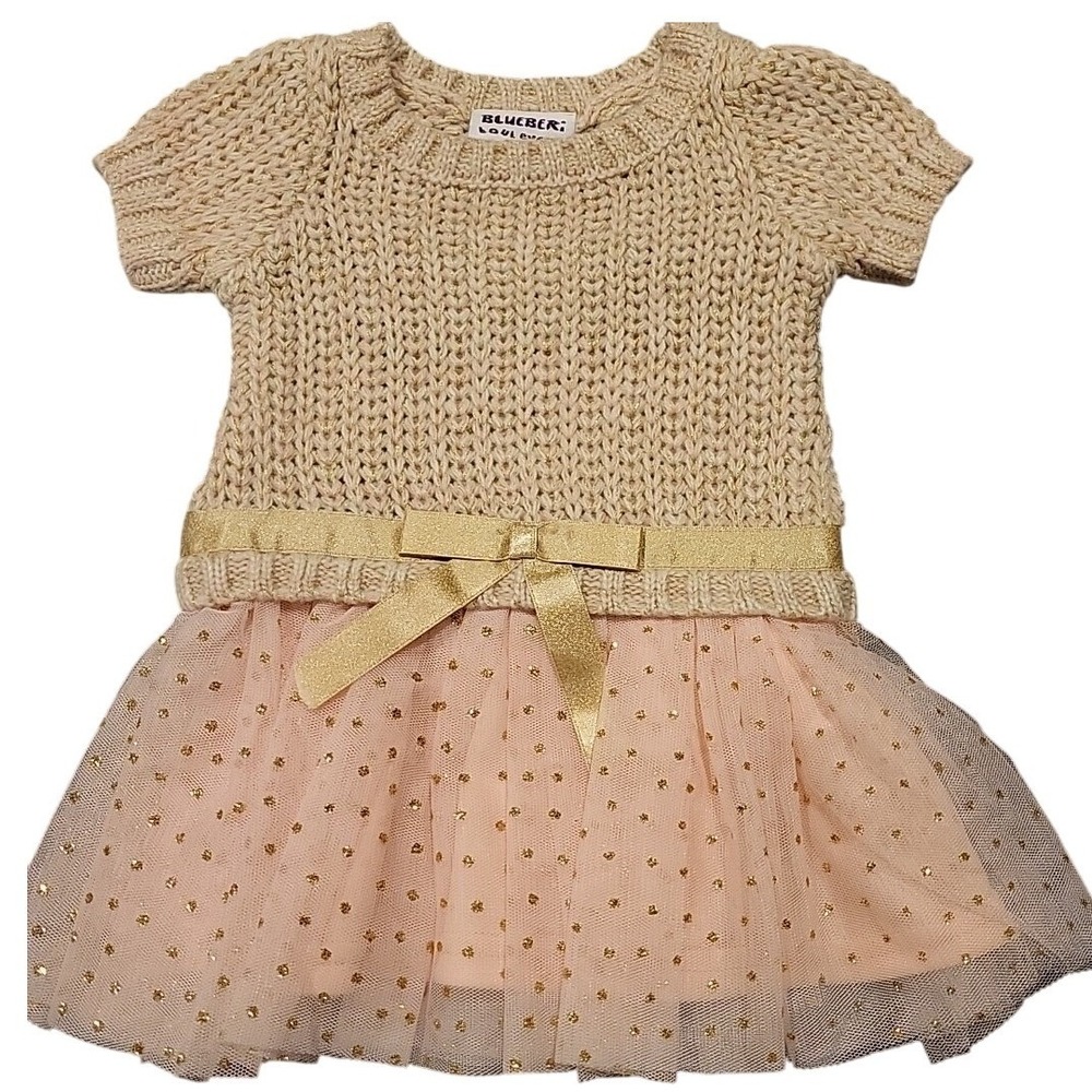 Blueberry Boulevard‎ Pink/Gold Dress 3-6mo Gold Sparkles Knit Top Tulle NWT $54